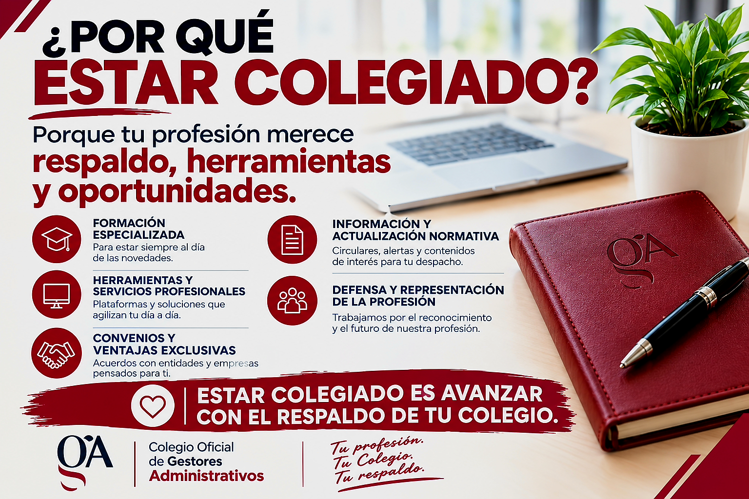 competencias y funciones del gestor administrativo